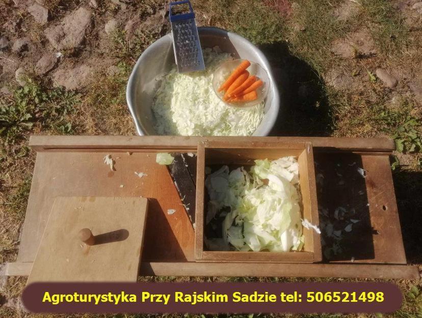 Nowy Berezów Agroturystyka Przy Rajskim Sadzie מראה חיצוני תמונה